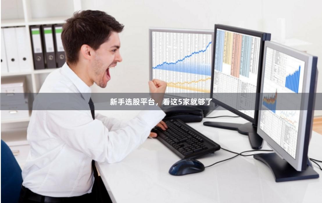 新手选股平台，看这5家就够了