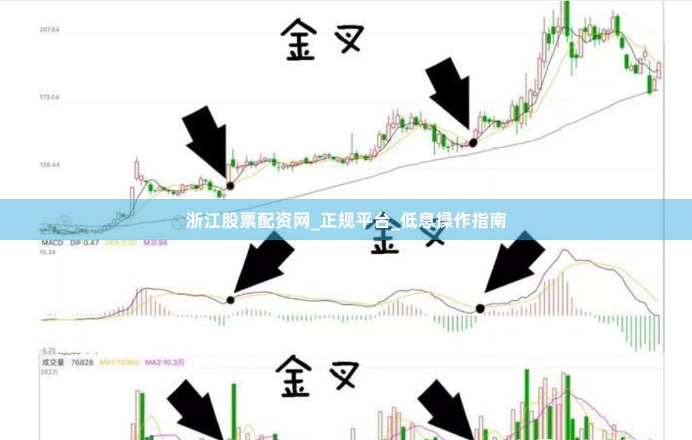 浙江股票配资网_正规平台_低息操作指南