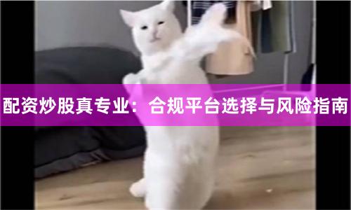配资炒股真专业：合规平台选择与风险指南