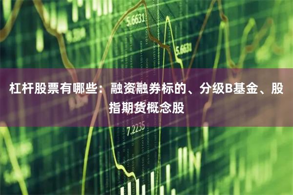 杠杆股票有哪些：融资融券标的、分级B基金、股指期货概念股